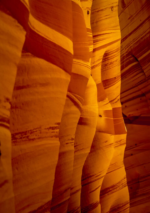 Zebra Slot Canyon, Grand Staircase Escalante National Monument, UT
