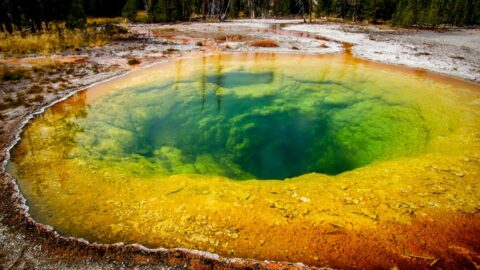 Morning Glory, Yellowstone National Park, WY