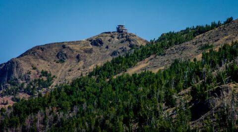 Mount Washburn In Yellowstone National Park, WY