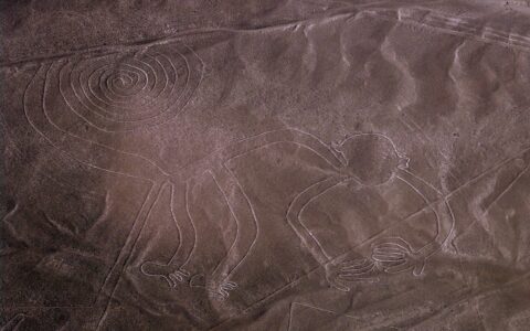 Nazca Lines, Monkey, Nazca, Peru