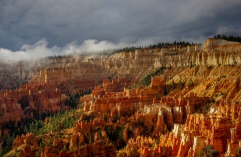Storm In Bryce Canyon National Park, UT
