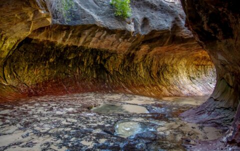 The Subway, Zion National Park, UT