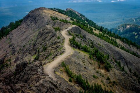 Trail Near The Top Of Mount Washburn In Yellowstone National Park, WY