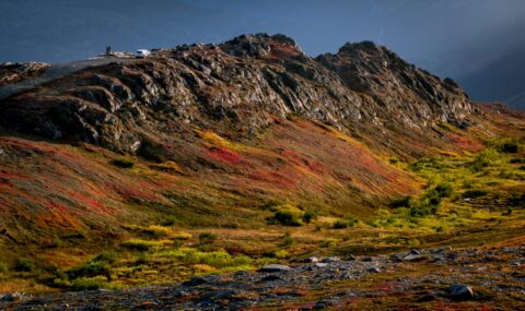 Fantastic Autumn Colors On Thompson Pass, Richardson Highway Near Valdez, AK