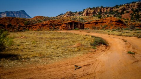 Housekeeping Snake, Dinosaur National Monument, CO