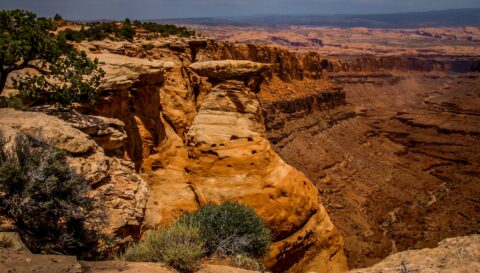 Jarda’s Mushroom And Long Canyon, Moab, UT