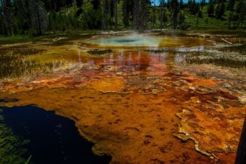 Morning Glory Pool, Yellowstone National Park, WY