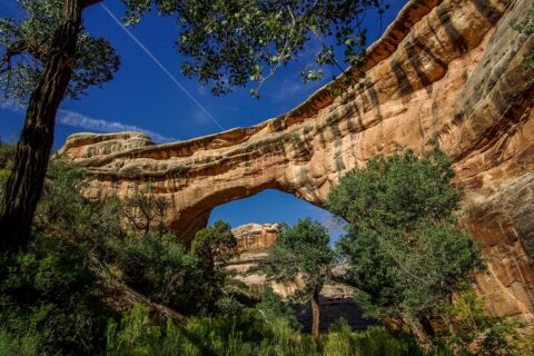 Sipapu Bridge, Natural Bridges National Monument, UT