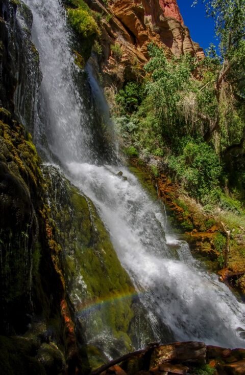 Thunder River Waterfall, Grand Canyon North Rim, AZ