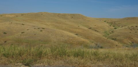 Little Bighorn Battlefield, MT
