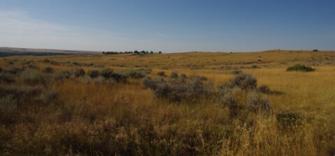 Little Bighorn Battlefield, MT