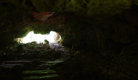 Stairs Down To Lol-Tun Caves, Yucatan, Mexico