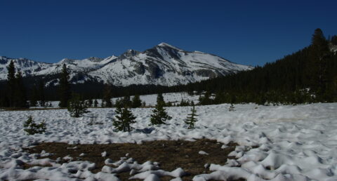 On the Longest Day of the Year at Tioga Pass, Yosemite National Park, CA