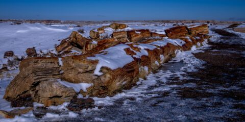 Along The Icy Trail In In Petrified Forest National Park, AZ