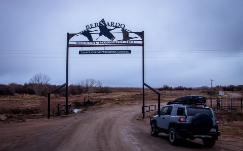 Bernardo Bird Watching Area By Highway 25 South From Albuquerque, NM