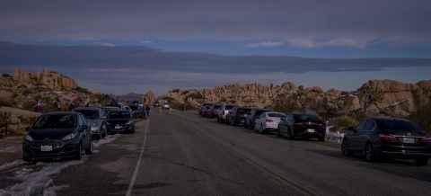 Busy Area Near Skull Rock In Joshua Tree National Park, CA