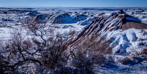 Chilly Morning In Petrified Forest National Park, AZ