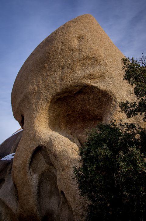 Famous Skull Rock In Joshua Tree National Park, CA