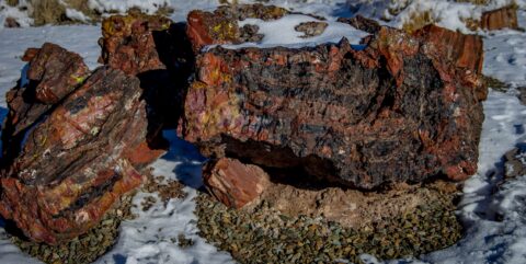 Gravel And Petrified Wood In The Snow In Petrified Forest National Park, AZ