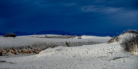 Landscape Of White Sands National Monument, NM