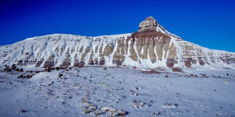 Landscape Under Snow In Petrified Forest National Park, AZ