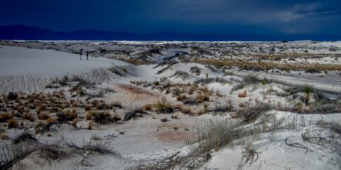 No Snow In White Sands National Monument, NM