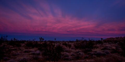 Sunset Near West Entrance To Joshua Tree National Park, CA