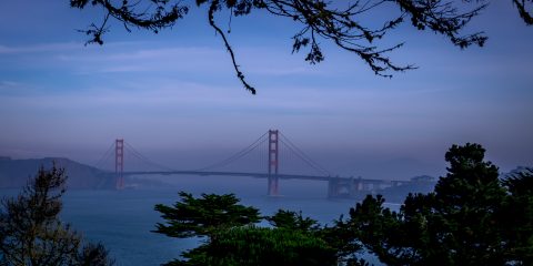 Look From Golden Gate Park At Golden Gate Bridge, San Francisco, CA_