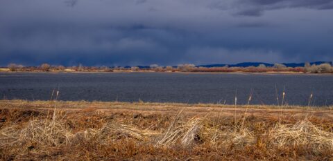 Winter Landscape In Bosque Del Apache National Wildlife Refugee, NM