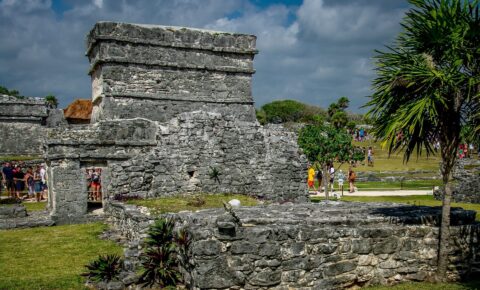 Iguana And Tourists In Tulum Archaeological Site, Quintana Roo, Mexico