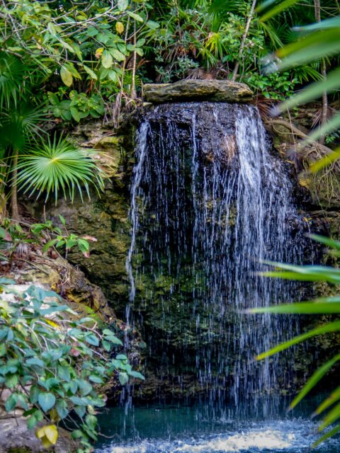 Waterfall in Xcaret,, Quintana Roo, Mexico