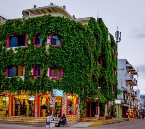 Calle Quinta Avenida, Playa Del Carmen, Quintana Roo, Mexico