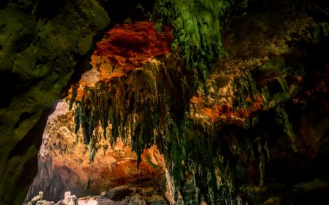 Ceiling Near The Exit From Lol-Tun Caves In Yucatan, Mexico