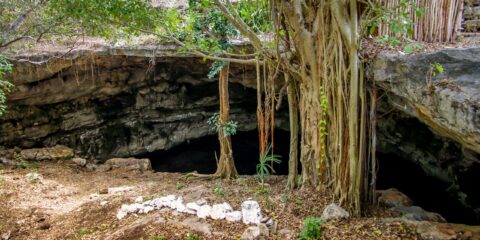 Entrance To Ritual Cenote in Yucatan, Mexico