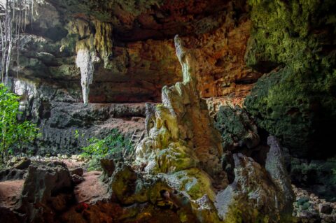 Fantastic Sculpture Near The Exit From Lol-Tun Caves In Yucatan, Mexico