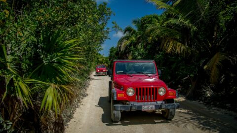 Jeep Caravan On The Dirt Road To Sian Ka’an Biosphere Reserve, Quintana Roo, Mexico