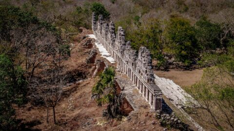 Look From Above At House Of Pigeons In Uxmal Archaeological Site In Yucatan, Mexico