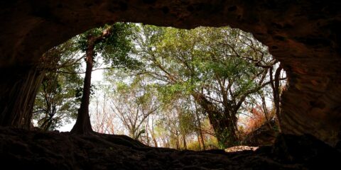 Inside Looking Out At The Entrance To Ritual Cenote in Yucatan, Mexico