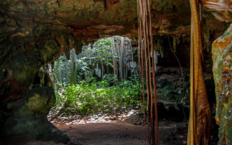 Near The Exit From Lol-Tun Caves In Yucatan, Mexico