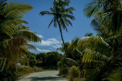 On The Road to Sian Ka’an Biosphere Reserve, Quintana Roo, Mexico