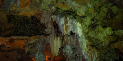 Panther On The Wall In Lol-Tun Caves In Yucatan, Mexico