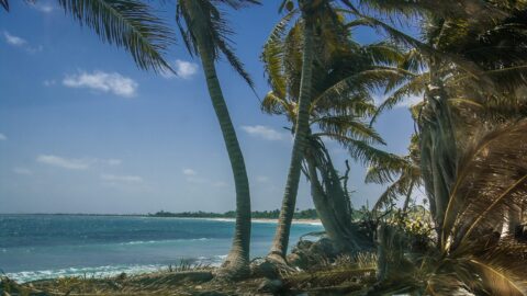 Riviera Maya At Sian Ka’an Biosphere Reserve, Quintana Roo, Mexico