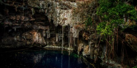 Swimming Cenote in Yucatan, Mexico