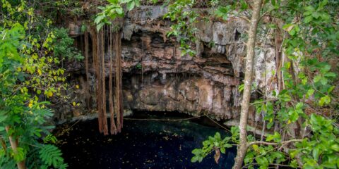 Swimming is Permitted In Some Cenotes in Yucatan, Mexico