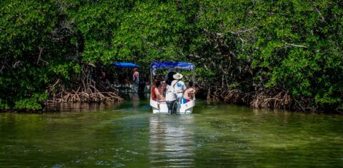 Tourist Boats Entering Lagoon In Sian Ka’an Biosphere Reserve, Quintana Roo, Mexico
