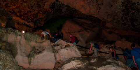 Visitors Going Up The Stairs In Lol-Tun Caves In Yucatan, Mexico