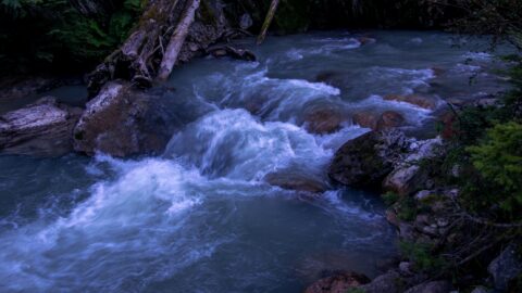 Cascades of Bear Creek In Glacier National Park Near Golden, BC