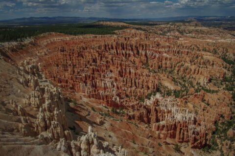Amphitheater Full Of Hoodoos In Bryce Canyon National Park, UT