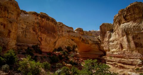Approaching Hickman Natural Bridge In Capitol Reef National Park, UT
