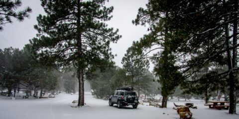 December 31 2014 In Grand Canyon South Rim Campground, AZ